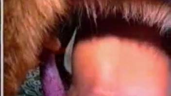 Horny chick senses full canine cock pounding her pussy