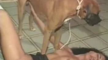 Steamy woman being licked all over by a hot canine