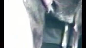 Guy pounding a freaky creature from the rear