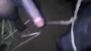 Dude fucks a submissive animal with his BBC