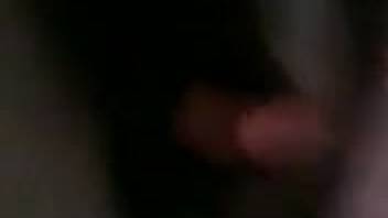 Guy penetrating a female horse's vagina with his erect cock
