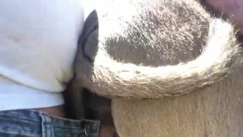 Guy with a bushy dick screwing a soaked wild snatch right here