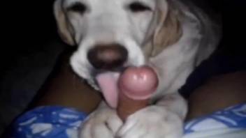 Dog uses its paws to keep that dick in place