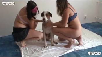 Steamy novice sluts screwing the identical canine on film