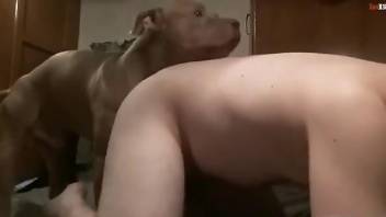 Doggy style fuck for an overweight zoophilia addict