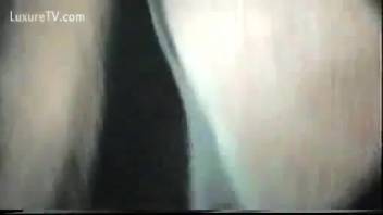 Mare's vagina expanded by enormous beast cock