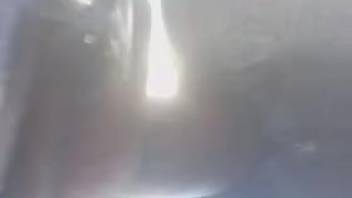 Intimate bestiality footage captured via secret camera