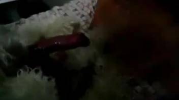 Dog pulls out his dick to bang the MILF's throat