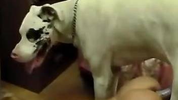 Leggy blonde fucking a white beast for the cam