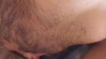 Dark-haired woman with an unshaven pussy is fucked by a horse