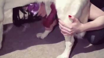 Dark-haired babe with big boobs craves succulent dog dick