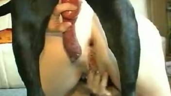 Anal