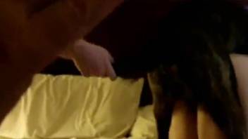 Intense rear-entry pounding with an aroused pup