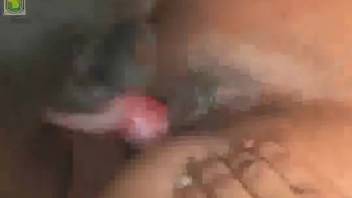 Dark Doberman aggressively thrusts into a curvaceous young woman in the doggy style position.