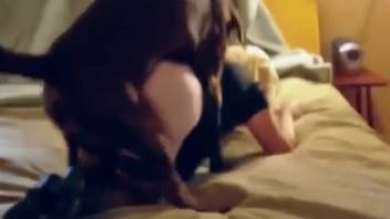 Sexy woman in dark nylons savoring intense bestiality