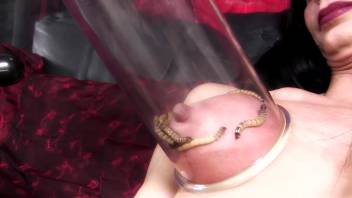 Worms tormenting her vagina in an amusingly playful manner