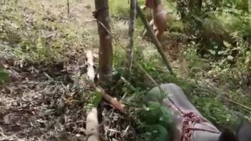 Horny woman passionately kisses an animal in steamy outdoor porn