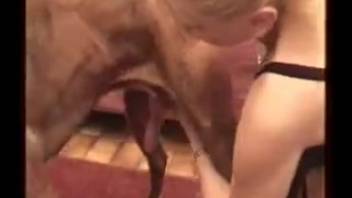 Fantastic teen girls and a Rottweiler are having fun with filthy animal sex