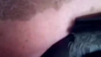Collection of the steamiest bestiality scenes on the farm featuring a zoophilic whore