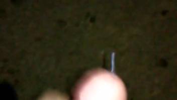 Guy thrusts his cock into a female horse's juicy cunt and shoots his load inside