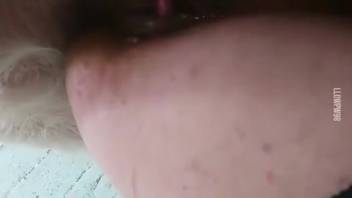 Swine bangs a sexy babe's snug orifice in a complimentary adult film