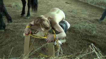 Fair-haired lady with an attractive vagina being mounted by a canine