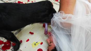 Dark-haired fiancée provides a final round of canine depravities before tying the knot