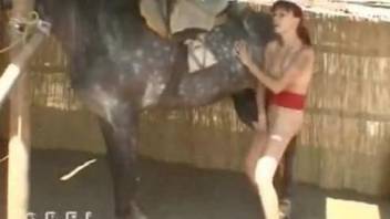 Redheaded bitch getting drilled by a very sexy horse