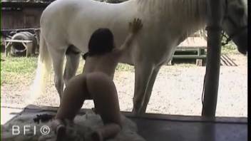Intense rough sex doggy style with a sexy dark-haired babe