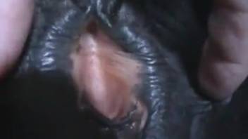 Guy messing around with beast's cunt before banging it