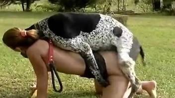 Mutt is banging that tight pussy from behind