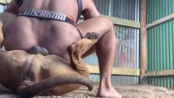 Guy savagely screws his canine in apparently brutal footage