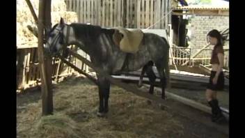 Slim teenage babe screws a dappled pony in rear-entry position