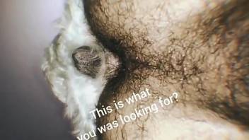 Hairy ass man tries anal with the dog in live scenes