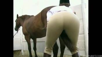 Aroused equestrian has intercourse with a well-endowed male horse