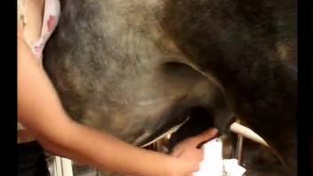 Golden-haired vixen rubs a massive equine penis against her slit