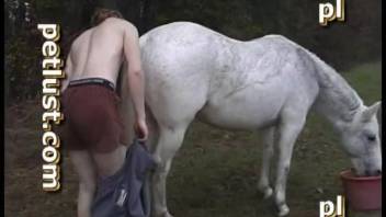 Different guys licking female horse cunts and banging them