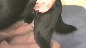 Stunning dark-haired lady and her cute beagle in thrilling animal encounter