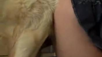 Furry canine thrusts rigid erection into snug woman's vagina