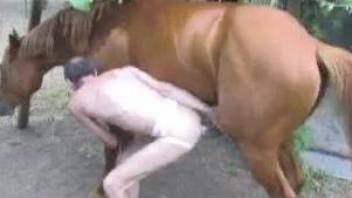 Horny man gets taped when trying to ass fuck with the horse