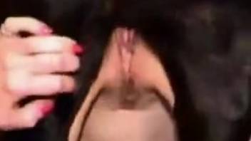 Doberman sporting a stiff cock vigorously pounds a moist pussy